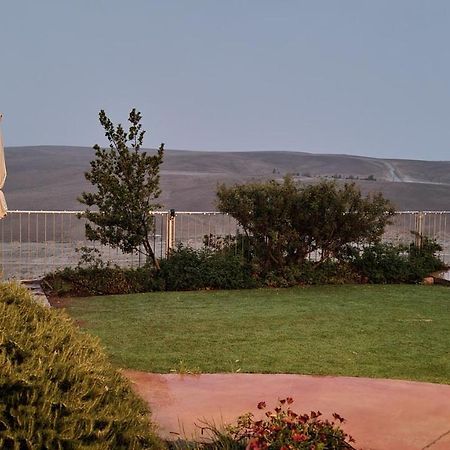 Desert Call Villa Arad Ngoại thất bức ảnh